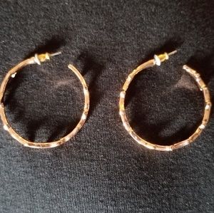 Sculpted Branch Earrings